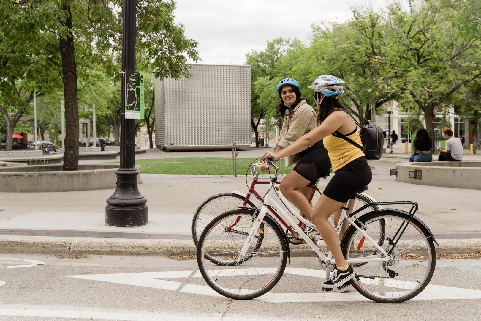 Central Winnipeg Bike loop The Exchange District BIZ