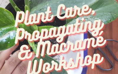 Plant Care, Propagating & Macramé Workshop